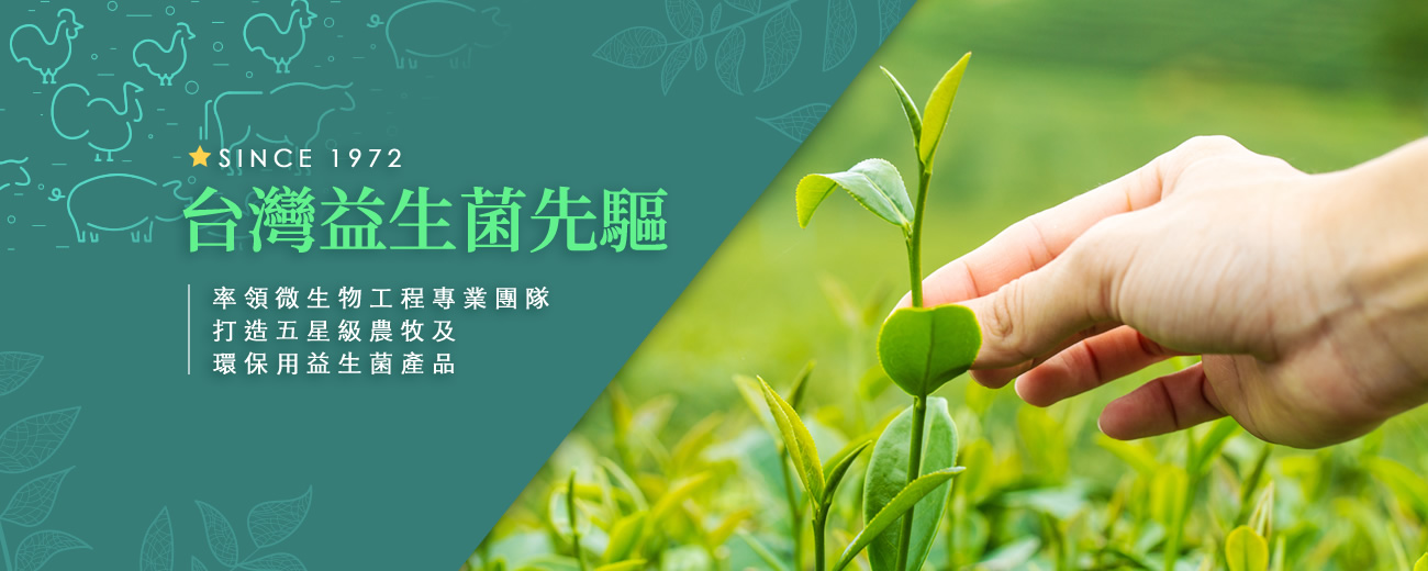 banner-index_r1_c1.jpg banner-index_r1_c1.jpg